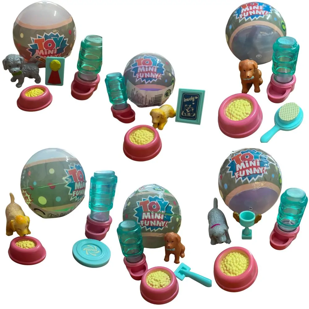 Bola perrito con accesorios